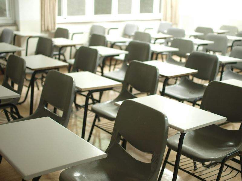地域とつながる学び：校外活動で広がる子どもたちの視野